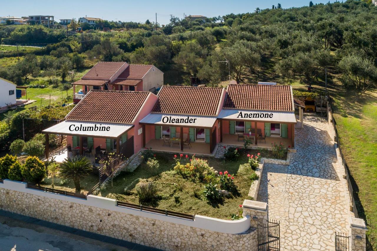 Garden Apartments Agios Stefanos Corfu Agios Stefanos Avliotes  Zewnętrze zdjęcie